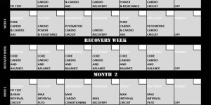 Insanity Workout Calendar